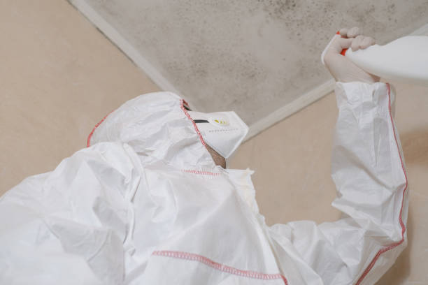 Best Professional Mold Removal  in Annapolis Neck, MD