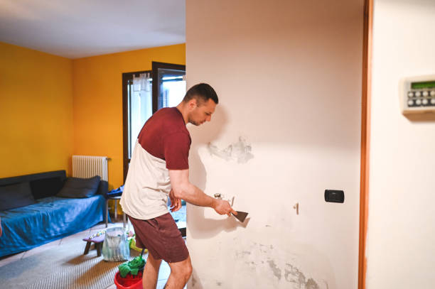 Best Black Mold Removal  in Annapolis Neck, MD